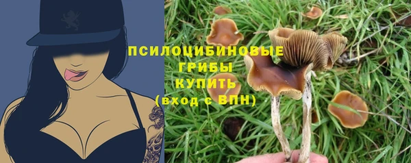 гашик Магадан