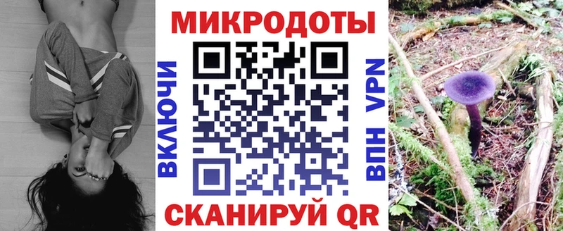 OMG онион  Собинка  Галлюциногенные грибы GOLDEN TEACHER 